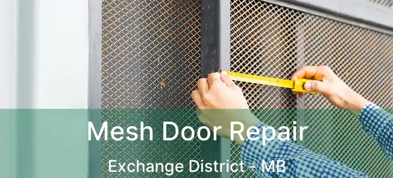  Mesh Door Repair Exchange District - MB