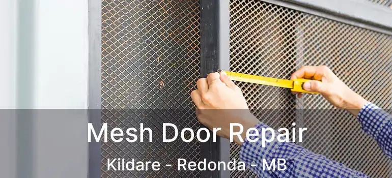  Mesh Door Repair Kildare - Redonda - MB