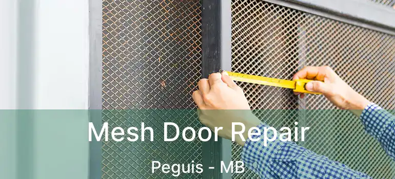  Mesh Door Repair Peguis - MB