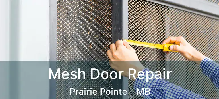  Mesh Door Repair Prairie Pointe - MB