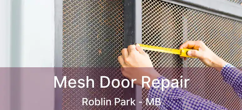  Mesh Door Repair Roblin Park - MB