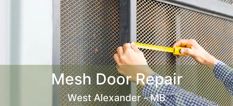  Mesh Door Repair West Alexander - MB