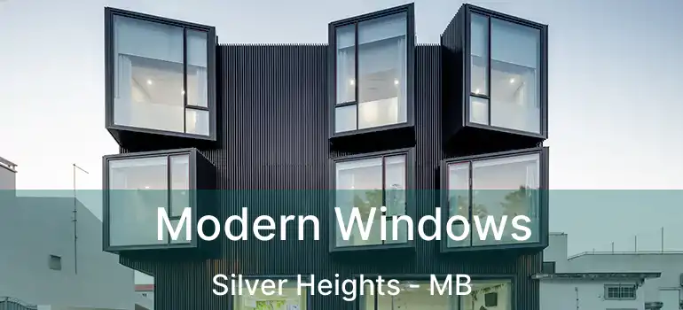  Modern Windows Silver Heights - MB