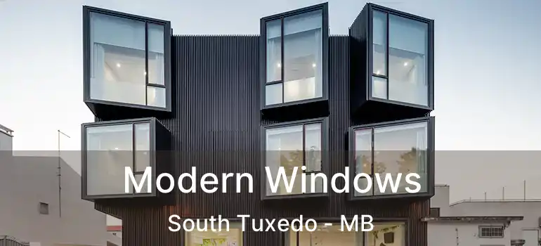  Modern Windows South Tuxedo - MB