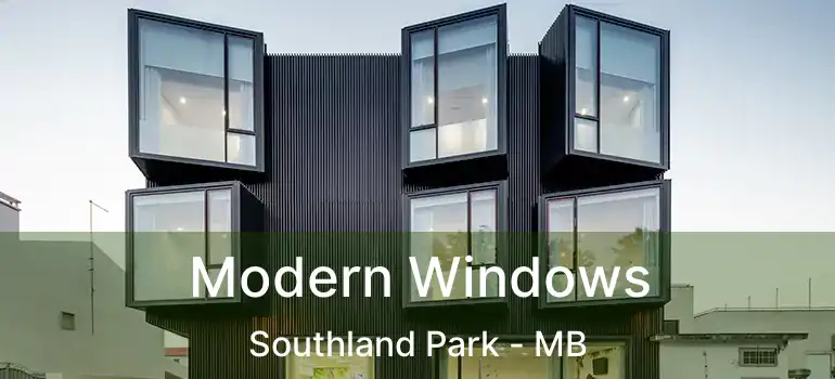  Modern Windows Southland Park - MB