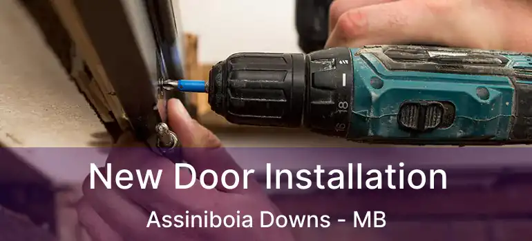  New Door Installation Assiniboia Downs - MB