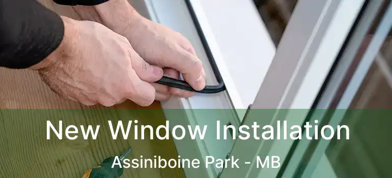  New Window Installation Assiniboine Park - MB