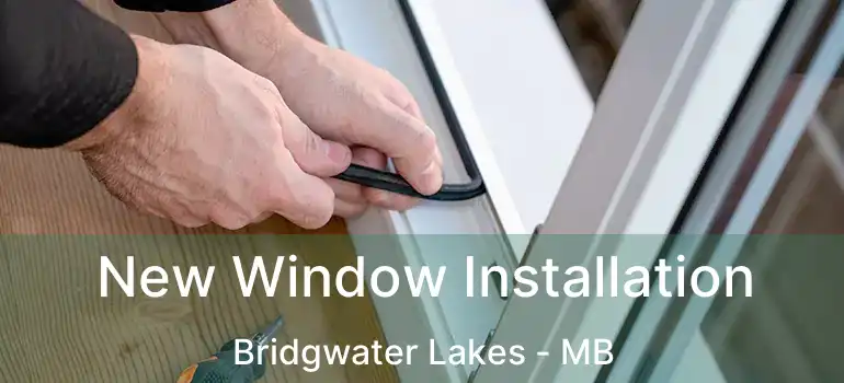  New Window Installation Bridgwater Lakes - MB