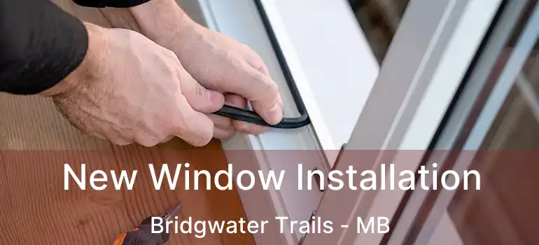  New Window Installation Bridgwater Trails - MB
