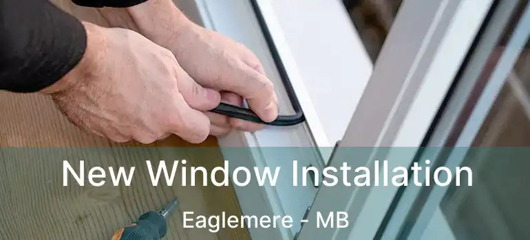  New Window Installation Eaglemere - MB