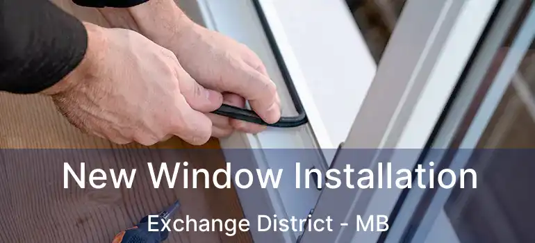 New Window Installation Exchange District - MB