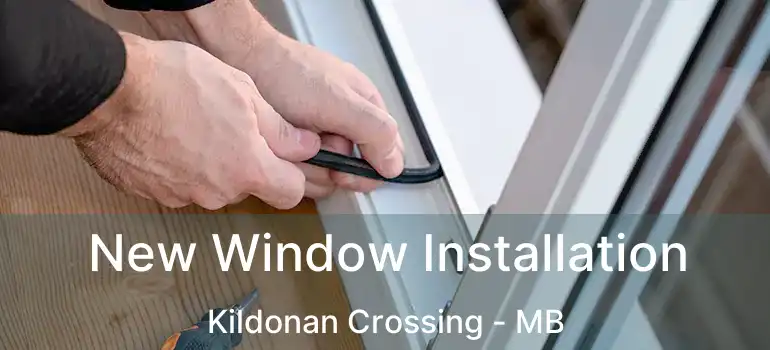  New Window Installation Kildonan Crossing - MB