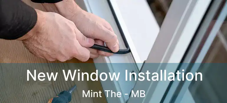 New Window Installation Mint The - MB