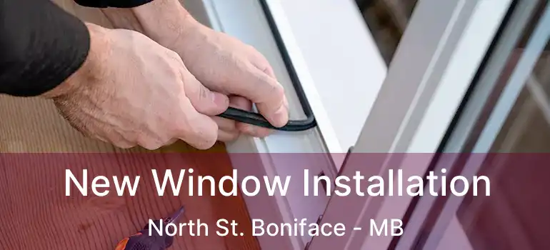  New Window Installation North St. Boniface - MB