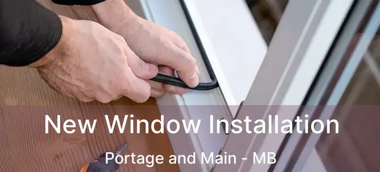  New Window Installation Portage and Main - MB