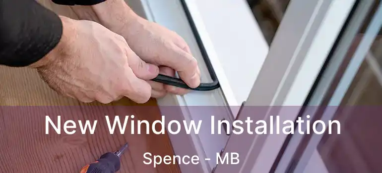  New Window Installation Spence - MB