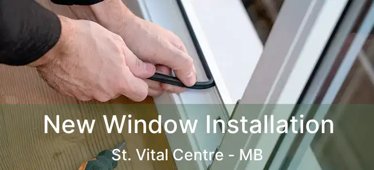  New Window Installation St. Vital Centre - MB