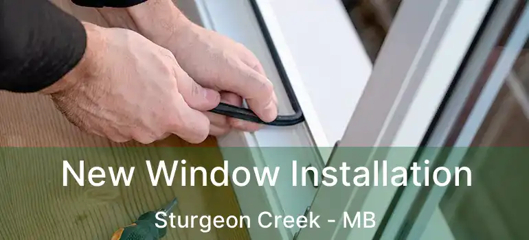  New Window Installation Sturgeon Creek - MB