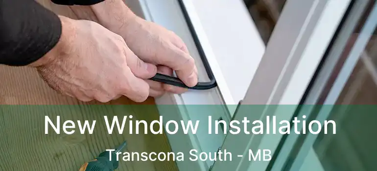  New Window Installation Transcona South - MB