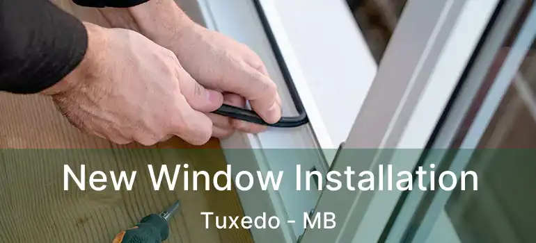  New Window Installation Tuxedo - MB