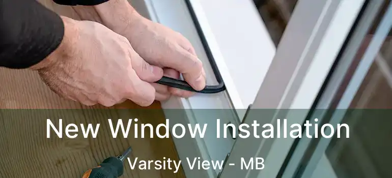  New Window Installation Varsity View - MB