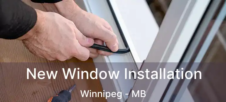  New Window Installation Winnipeg - MB