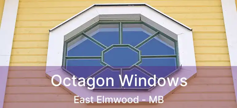  Octagon Windows East Elmwood - MB