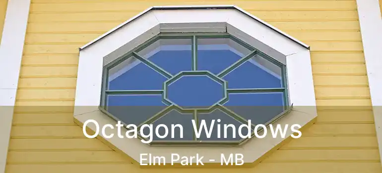  Octagon Windows Elm Park - MB