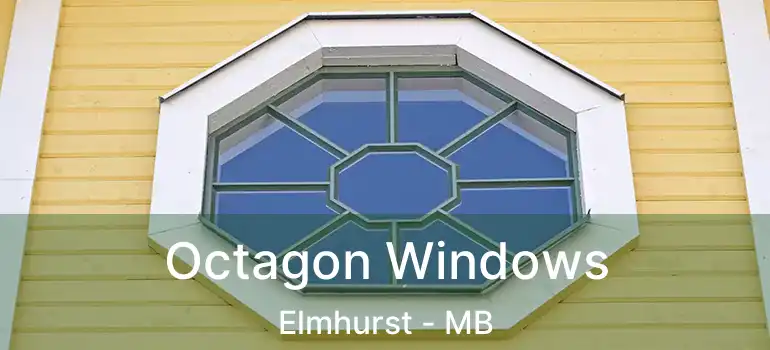  Octagon Windows Elmhurst - MB
