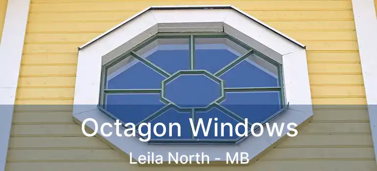  Octagon Windows Leila North - MB