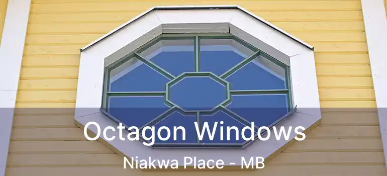  Octagon Windows Niakwa Place - MB