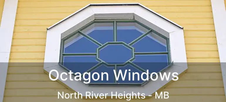  Octagon Windows North River Heights - MB
