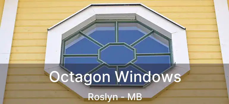  Octagon Windows Roslyn - MB