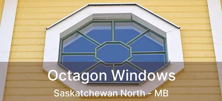  Octagon Windows Saskatchewan North - MB