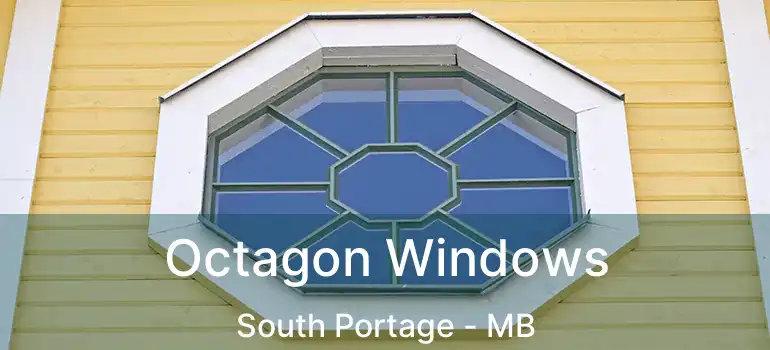  Octagon Windows South Portage - MB