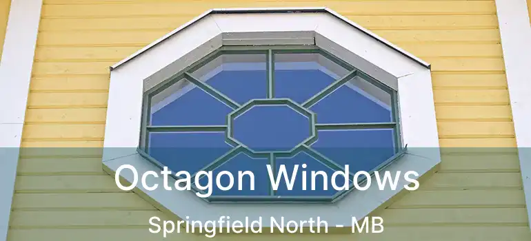  Octagon Windows Springfield North - MB