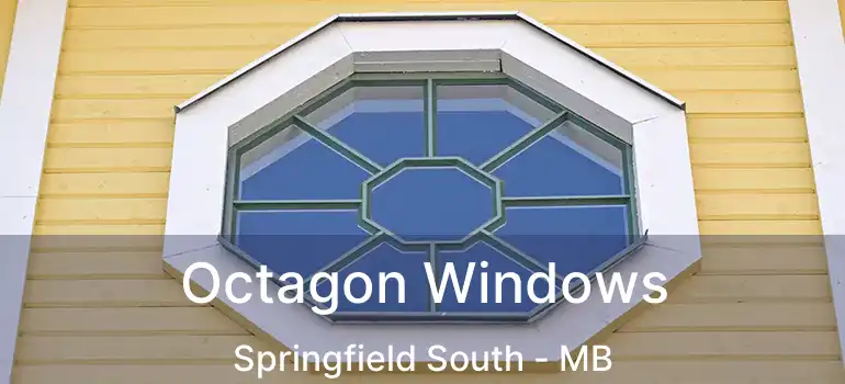  Octagon Windows Springfield South - MB