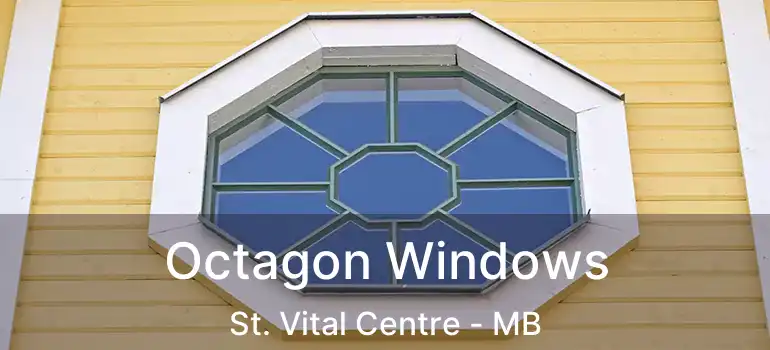  Octagon Windows St. Vital Centre - MB