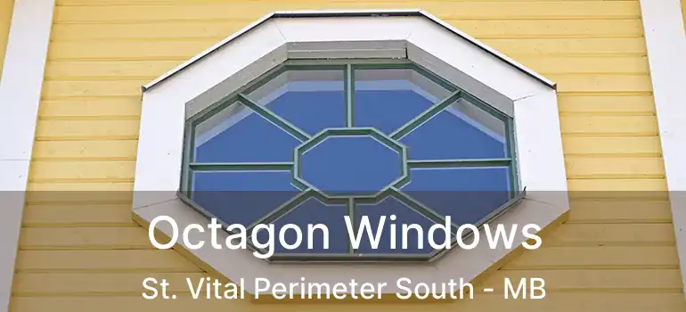  Octagon Windows St. Vital Perimeter South - MB