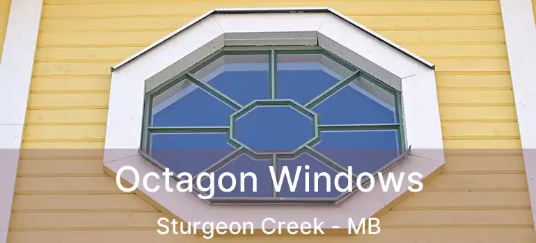  Octagon Windows Sturgeon Creek - MB