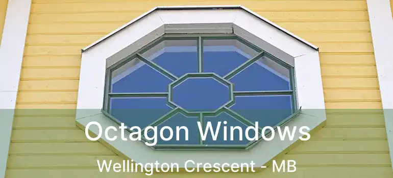  Octagon Windows Wellington Crescent - MB