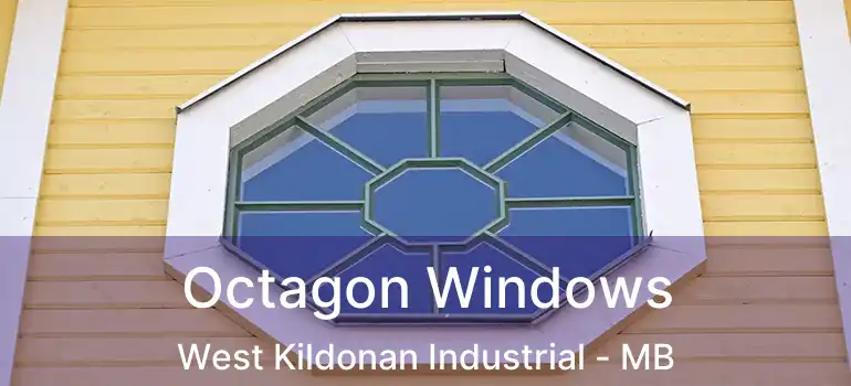  Octagon Windows West Kildonan Industrial - MB