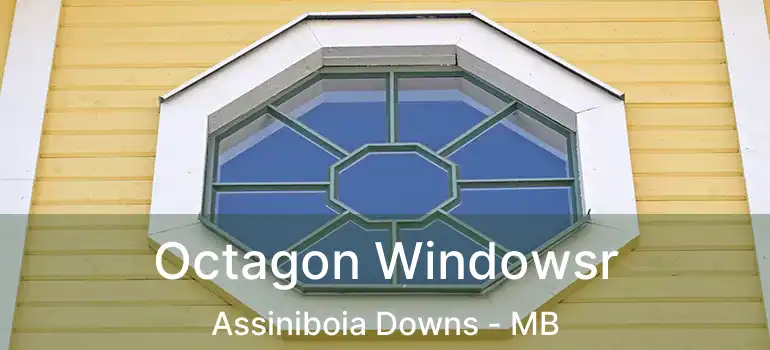  Octagon Windowsr Assiniboia Downs - MB