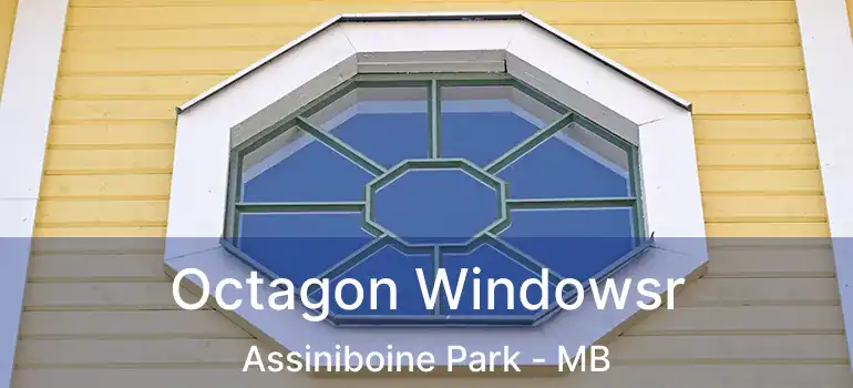  Octagon Windowsr Assiniboine Park - MB