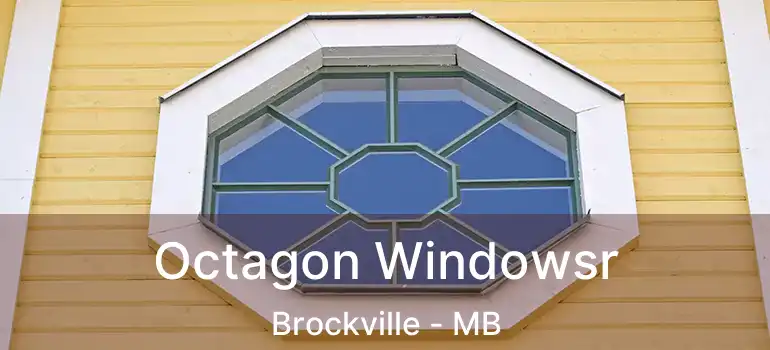  Octagon Windowsr Brockville - MB