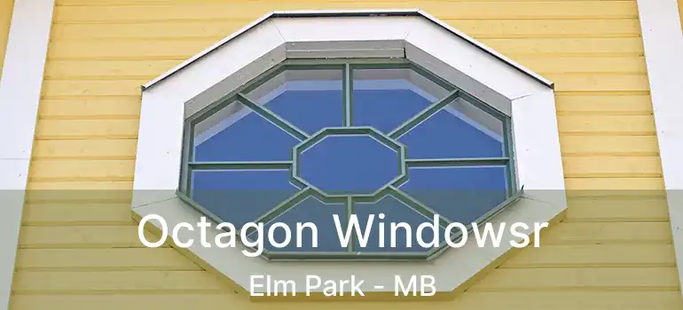  Octagon Windowsr Elm Park - MB