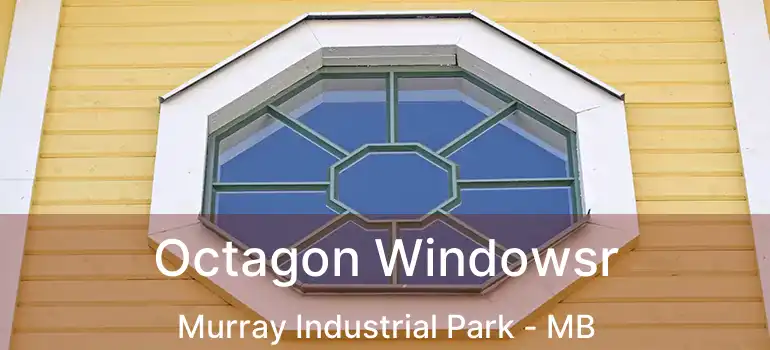  Octagon Windowsr Murray Industrial Park - MB