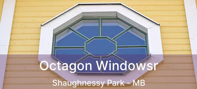  Octagon Windowsr Shaughnessy Park - MB