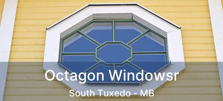  Octagon Windowsr South Tuxedo - MB
