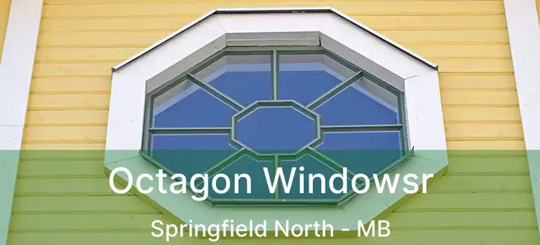  Octagon Windowsr Springfield North - MB